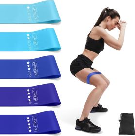 Resistance Bands for Working Out, Exercise Bands Resistance Bands Set with 5 Resistance Levels (Color: Blue)